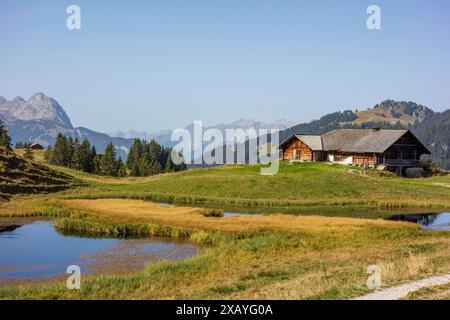 Idilliaco paesaggio alpino con una capanna in legno accanto a uno stagno e montagne sullo sfondo, sotto un cielo limpido, Grigioni, svizzera Foto Stock