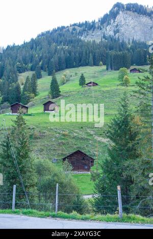 Diverse capanne di legno su verdi colline, circondate da alberi e montagne in un ambiente rurale, Grigioni, Svizzera Foto Stock