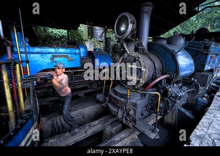 Un meccanico del dipartimento ferroviario controlla una locomotiva a vapore alla stazione ferroviaria di Darjeeling. La Darjeeling Himalayan Railway, nota anche come "Toy Train", è un treno ferroviario a scartamento ridotto costruito tra il 1879 e il 1881. La ferrovia si sposta fino a un livello di altitudine di 2.200 metri (7.218 piedi). Quattro moderne locomotive diesel gestiscono la maggior parte dei servizi di linea; tuttavia i treni turistici giornalieri da Darjeeling a Ghum (la stazione ferroviaria più alta dell'India) sono gestiti dalle locomotive a vapore vintage di costruzione britannica classe B. Il DHR è stato dichiarato patrimonio dell'umanità dall'UNESCO nel 1999. (Foto di Avishe Foto Stock