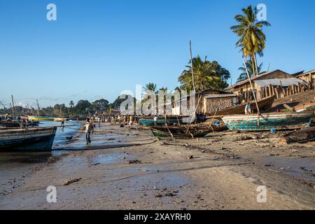 Mozambico, Cabo Delgado, Macímboa da Praia, Vista sulla spiaggia Foto Stock