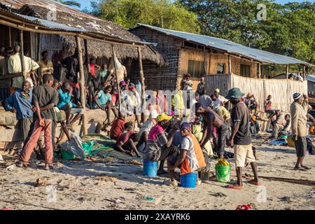 Mozambico, Cabo Delgado, Macímboa da Praia, gente in attesa del ritorno dei pescatori Foto Stock