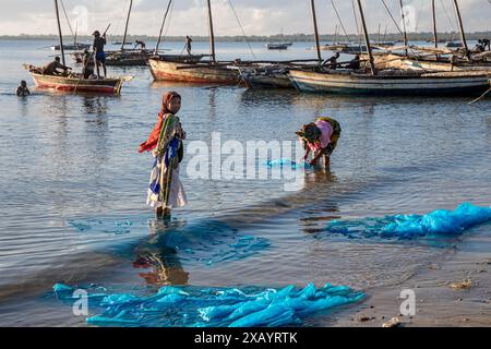 Mozambico, Cabo Delgado, Macímboa da Praia, gente che pesca con le zanzariere Foto Stock