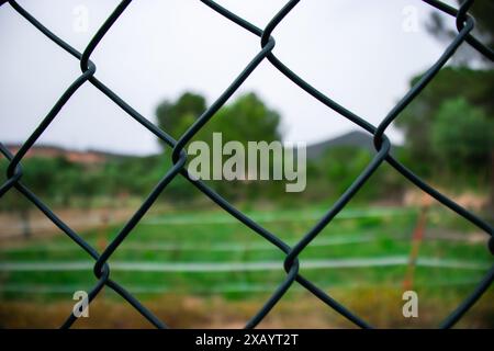 Sfondo realistico di recinzione a catena in una splendida giornata estiva di sole durante una passeggiata nella natura Foto Stock