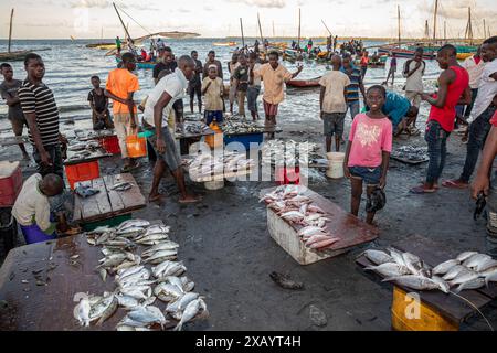 Mozambico, Cabo Delgado, Macímboa da Praia, mercato del pesce sulla spiaggia Foto Stock