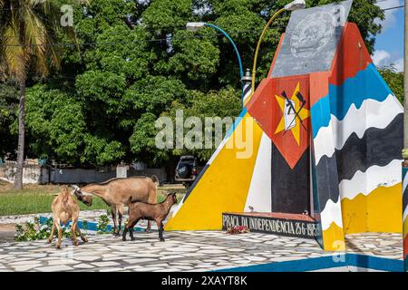 Mozambico, Cabo Delgado, Macímboa da Praia, capre intorno al monumento Foto Stock