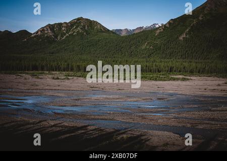 Una vista mozzafiato di una valle fluviale dell'Alaska con ruscelli limpidi che si snodano attraverso la ghiaia, circondati da lussureggianti foreste verdi e torreggianti mountai Foto Stock