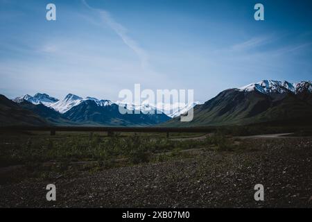 Scopri la grandezza delle catene montuose dell'Alaska sotto un cielo estivo limpido. Questo paesaggio mozzafiato cattura la bellezza aspra e la serenità Foto Stock