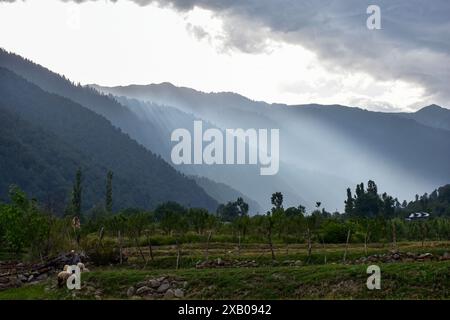 Srinagar, India. 9 giugno 2024. Un pastore con le sue pecore cammina lungo il campo di Pahalgam, a circa 110 km, a sud di Srinagar, la capitale estiva di Jammu e Kashmir. (Foto di Saqib Majeed/SOPA Images/Sipa USA) credito: SIPA USA/Alamy Live News Foto Stock