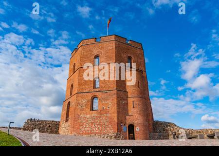 Gediminas Castello Torre a Vilnius, Lituania Foto Stock