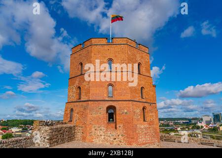 Gediminas Castello Torre a Vilnius, Lituania Foto Stock