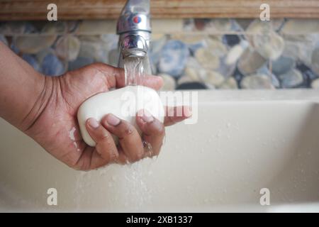 Per mantenere la pulizia delle mani e prevenire i germi è necessario lavarle con acqua corrente e sapone Foto Stock