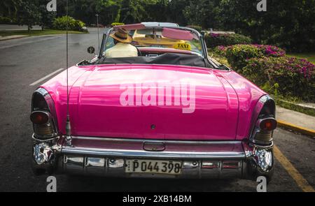 14FEB2016, Cuba - Vista posteriore di un taxi rosa d'epoca con autista parcheggiato su una strada Foto Stock