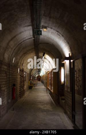 Uno dei lunghi passaggi sotterranei che ospitano il museo del campo di battaglia somme ad Albert France Foto Stock