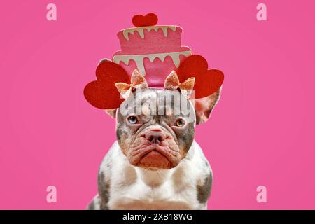 Divertente Bulldog francese con fascia e cappello per torta di compleanno con cuori su sfondo rosa Foto Stock