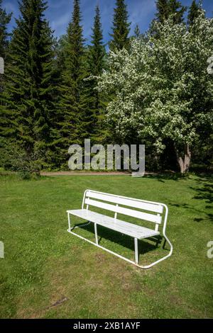 panca bianca vuota nel parco soleggiato Foto Stock
