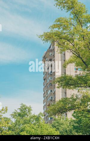 Vecchio edificio residenziale in cemento dietro la cima decidua degli alberi, attenzione selettiva Foto Stock