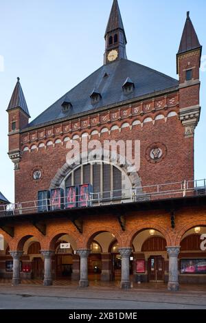 Stazione centrale di Copenaghen (Københavns Hovedbanegård), progettata da Heinrich Wenck, 1911; Copenaghen, Danimarca Foto Stock