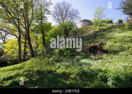 Aberlleiniog Castle, Beaumaris, Anglesey, Galles del Nord, Regno Unito/ Foto Stock