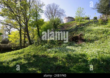 Aberlleiniog Castle, Beaumaris, Anglesey, Galles del Nord, Regno Unito/ Foto Stock