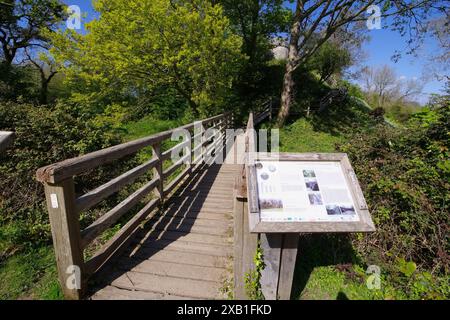 Aberlleiniog Castle, Beaumaris, Anglesey, Galles del Nord, Regno Unito/ Foto Stock