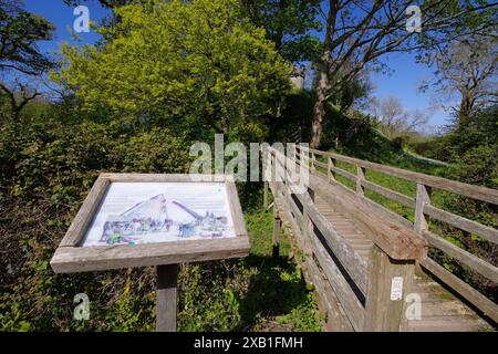 Aberlleiniog Castle, Beaumaris, Anglesey, Galles del Nord, Regno Unito/ Foto Stock