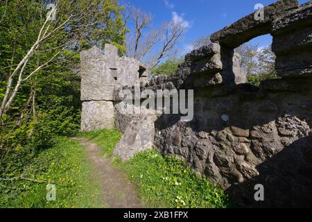 Aberlleiniog Castle, Beaumaris, Anglesey, Galles del Nord, Regno Unito/ Foto Stock