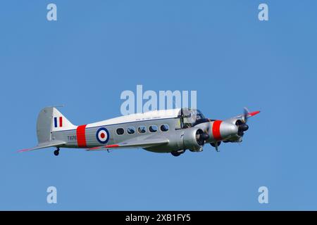 Avro, Anson, C19, G-AHKX, TX176, Shuttleworth Collection, Old Warden, Biggleswade, Bedfordshire, Inghilterra, Regno Unito. Foto Stock