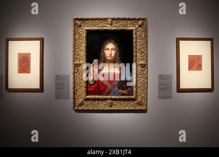 Museo del Louvre, Parigi, Francia. 24 ottobre 2019: Primo orario di apertura della mostra storica Leonardo da Vinci. Il Salvator Mundi Foto Stock