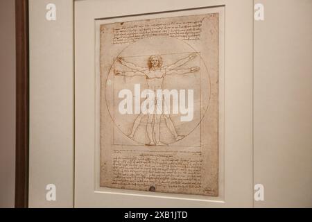 Museo del Louvre, Parigi, Francia. 24 ottobre 2019: Primo orario di apertura della mostra storica Leonardo da Vinci. L'originale disegno Vitruvian Man Foto Stock