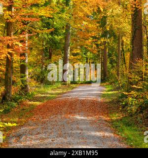 GEOGRAFIA / VIAGGIO, SVIZZERA, USO-NON-ESCLUSIVO-PER-BIGLIETTI-BIGLIETTI-DI-AUGURI-PIEGHEVOLI-USO-CARTOLINA Foto Stock