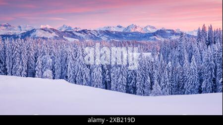 GEOGRAFIA / VIAGGIO, SVIZZERA, USO-NON-ESCLUSIVO-PER-BIGLIETTI-BIGLIETTI-DI-AUGURI-PIEGHEVOLI-USO-CARTOLINA Foto Stock