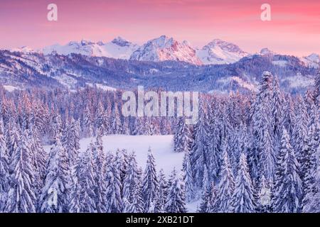 GEOGRAFIA / VIAGGIO, SVIZZERA, USO-NON-ESCLUSIVO-PER-BIGLIETTI-BIGLIETTI-DI-AUGURI-PIEGHEVOLI-USO-CARTOLINA Foto Stock