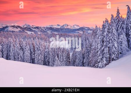 GEOGRAFIA / VIAGGIO, SVIZZERA, USO-NON-ESCLUSIVO-PER-BIGLIETTI-BIGLIETTI-DI-AUGURI-PIEGHEVOLI-USO-CARTOLINA Foto Stock