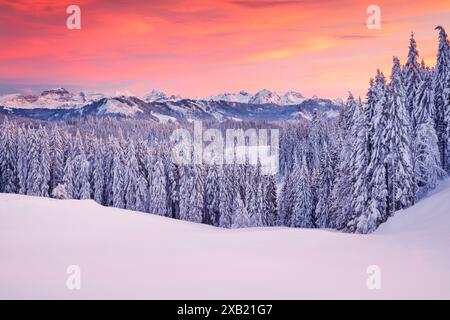 GEOGRAFIA / VIAGGIO, SVIZZERA, USO-NON-ESCLUSIVO-PER-BIGLIETTI-BIGLIETTI-DI-AUGURI-PIEGHEVOLI-USO-CARTOLINA Foto Stock