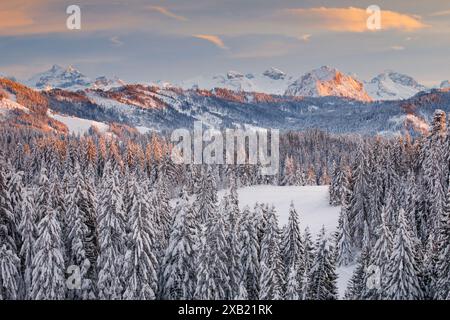 GEOGRAFIA / VIAGGIO, SVIZZERA, USO-NON-ESCLUSIVO-PER-BIGLIETTI-BIGLIETTI-DI-AUGURI-PIEGHEVOLI-USO-CARTOLINA Foto Stock