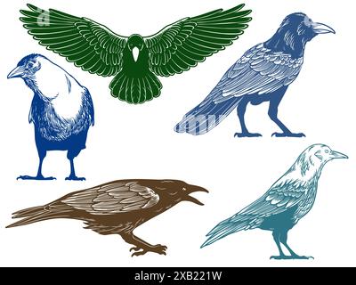 Disegnato a mano di corvo da diverse angolazioni con incisioni colorate isolate su sfondo bianco. Illustrazione vettoriale Crow Bird. Illustrazione Vettoriale