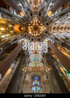 Soffitto dell'interno della cattedrale della Sagrada Familia a Barcellona. Foto Stock