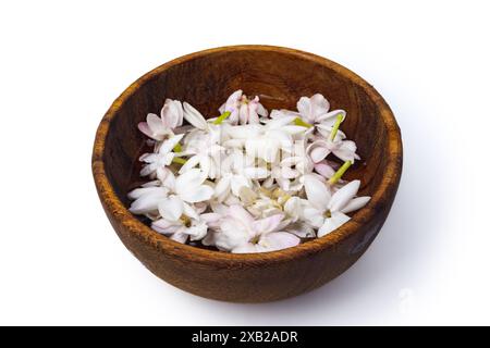 fiore di gelsomino galleggiante in una ciotola di legno, questo delicato fiore è rinomato per il suo aroma dolce e floreale e il suo aspetto elegante. isolato sulla schiena bianca Foto Stock