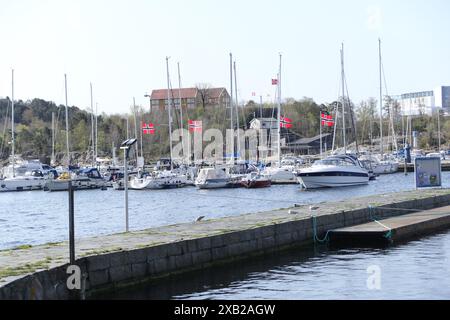 Il porticciolo di Kristiansand è situato nel centro della città. Ospita numerosi yacht. Foto Stock