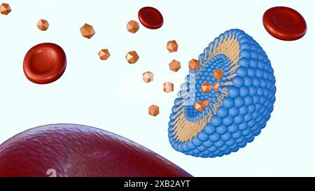 rendering 3d del liposoma all'interno dei vasi sanguigni con globuli rossi Foto Stock