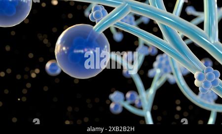 Rendering 3d di Candida albicans, è un lievito patogeno opportunistico che è un membro comune della flora intestinale umana Foto Stock