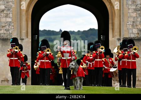 La Band of the Irish Guards, guidata dalla Irish Guards Regimental Mascot, un lupo irlandese di nome Seamus (Turlough Mor) che marciava prima di re Carlo III, colonnello in capo della Household Division, che presentava nuovi colori alla No 9 e alla No 12 Company of the Irish Guards, durante una cerimonia al Castello di Windsor, nel Berkshire. Data foto: Lunedì 10 giugno 2024. Foto Stock