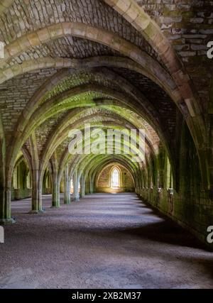 Il Cellarium e i suoi splendidi archi dell'Abbazia di Fountains, il nuovo Ripon nel North Yorkshire, Inghilterra, Regno Unito. Spesso scambiati come Chiostri. Foto Stock