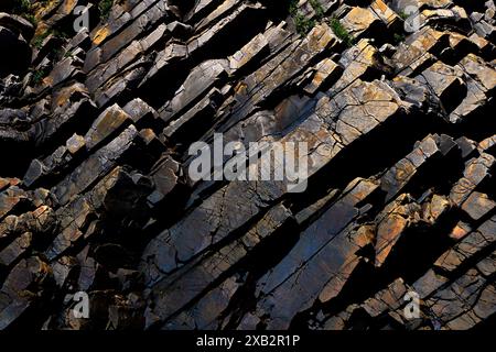 Una vista dettagliata delle formazioni rocciose frastagliate, che presentano sfumature scure e dorate con texture intricate, ideale per studi geologici o ba naturale Foto Stock