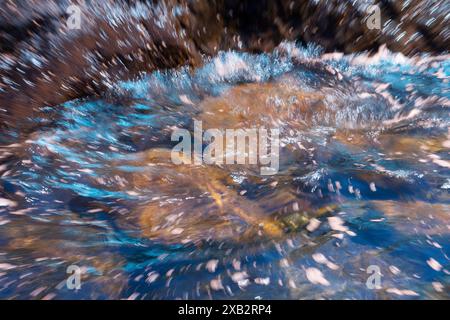 Questa immagine mostra riflessi astratti sull'acqua di mare, con un'accattivante interazione di luci e colori, creando un testo visivo dinamico e fluido Foto Stock