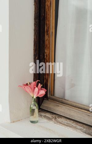 Un delicato giglio rosa esposto in una bottiglia di vetro trasparente su un davanzale in legno rustico. Foto Stock