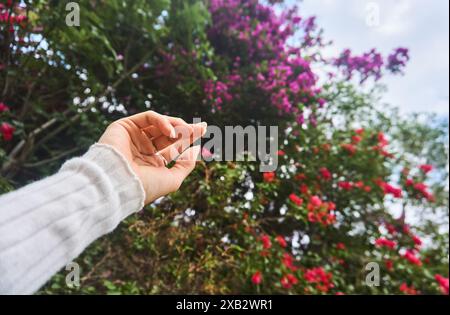 Un primo piano della mano di una donna si estendeva dolcemente verso fiori vivaci, catturando un momento di pacifica interazione con la natura in un parco Foto Stock