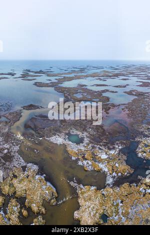 Ripresa aerea che cattura gli intricati schemi delle zone umide lungo la costa meridionale dell'Islanda, fondendosi con il mare aperto. Foto Stock