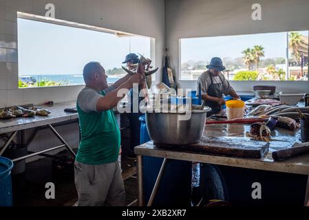 Uomini che puliscono il pesce, mercato del pesce a la Libertad, una città in El Salvador Foto Stock