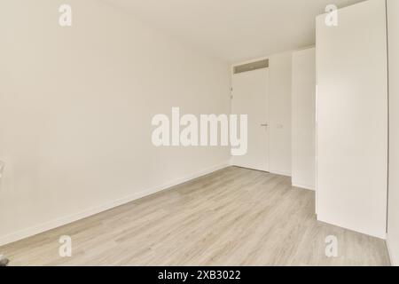 Una camera vuota caratterizzata da un design minimalista con pavimento in legno chiaro, pareti bianche e porte bianche contemporanee. Foto Stock